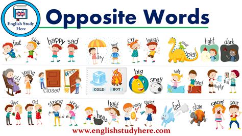POSITION Synonyms: 146 Similar and Opposite Words.